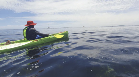 Waterfront Kayak Adventure